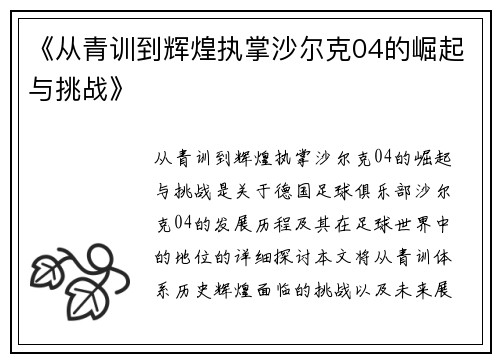 《从青训到辉煌执掌沙尔克04的崛起与挑战》