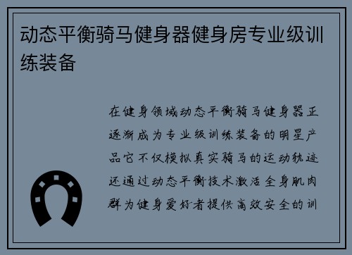 动态平衡骑马健身器健身房专业级训练装备