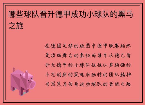 哪些球队晋升德甲成功小球队的黑马之旅
